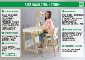 Комплект растущий стол и стул с чехлом 38 попугаев «Вуди» (Серый, Береза, Салют) в Уфе - ufa.mebel-74.com | фото