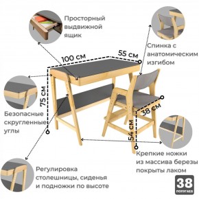 Комплект растущий стол и стул с чехлом 38 попугаев «Вуди» (Серый, Береза, Серый) в Уфе - ufa.mebel-74.com | фото