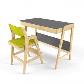 Комплект растущий стол и стул с чехлом 38 попугаев «Вуди» (Серый, Без покрытия, Грин) в Уфе - ufa.mebel-74.com | фото