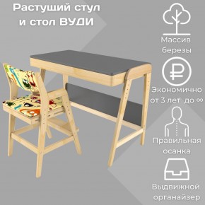Комплект растущий стол и стул с чехлом 38 попугаев «Вуди» (Серый, Без покрытия, Монстры) в Уфе - ufa.mebel-74.com | фото