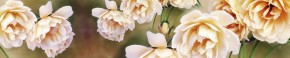 Кухонный фартук Цветы 066 МДФ матовый (3000) Flowers в Уфе - ufa.mebel-74.com | фото